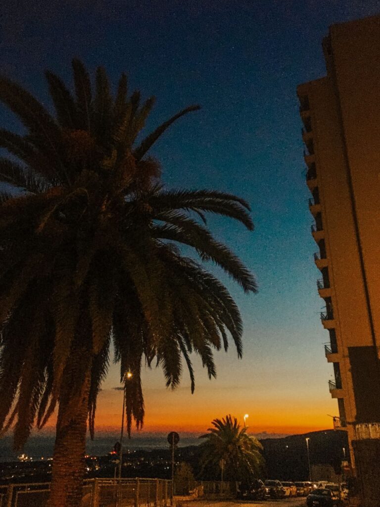 zachód słońca nad morzem w Agrigento, panorama miasta, palma